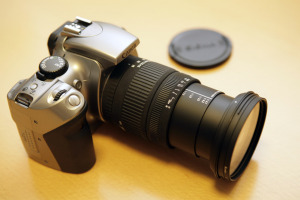 Canon EOS Kiss Digital + SIGMA 17-70mm F2.8-4.5 DC MACRO テレ端